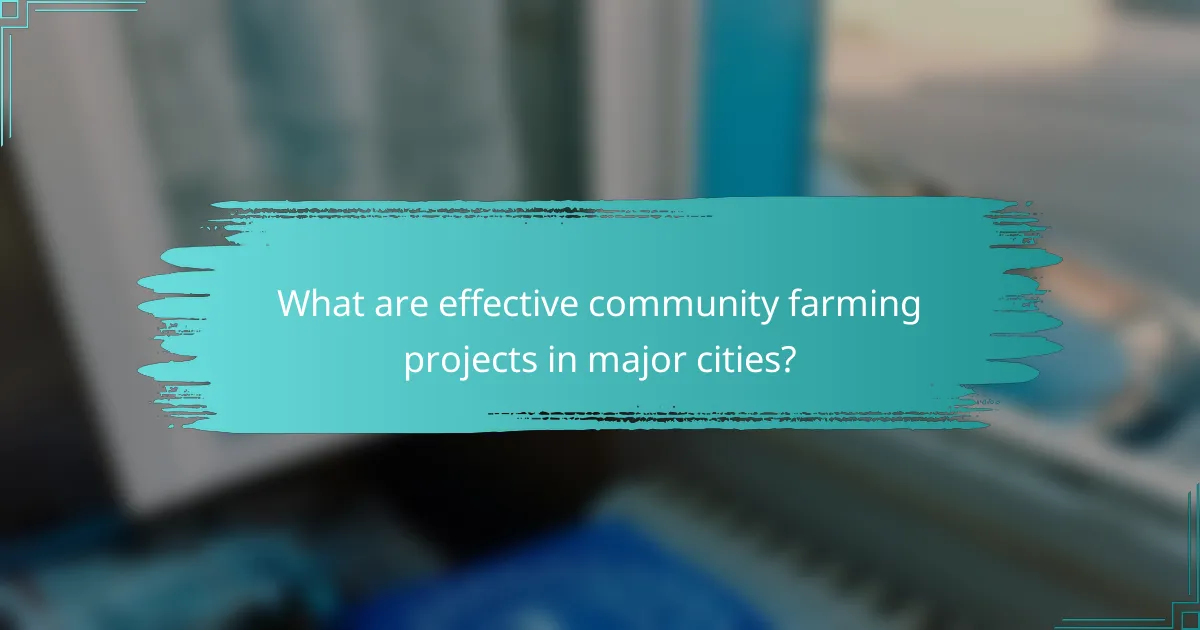 What are effective community farming projects in major cities?