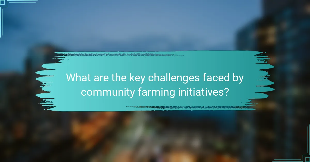 What are the key challenges faced by community farming initiatives?