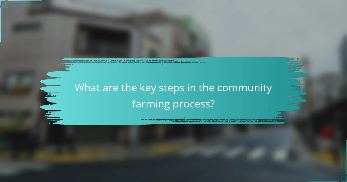 What are the key steps in the community farming process?