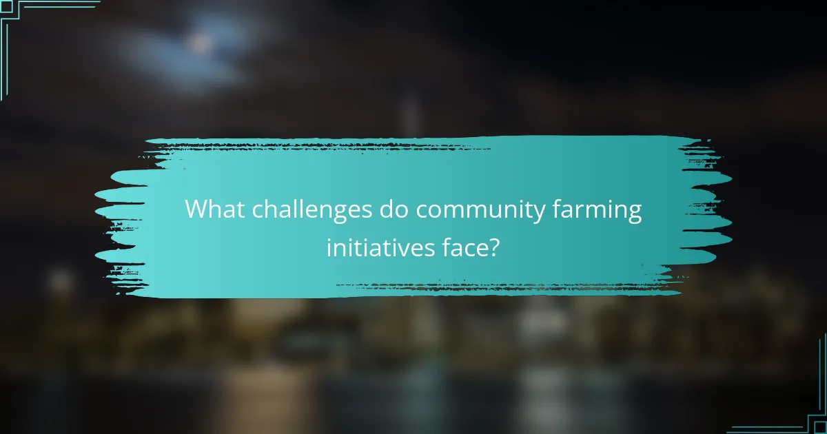 What challenges do community farming initiatives face?